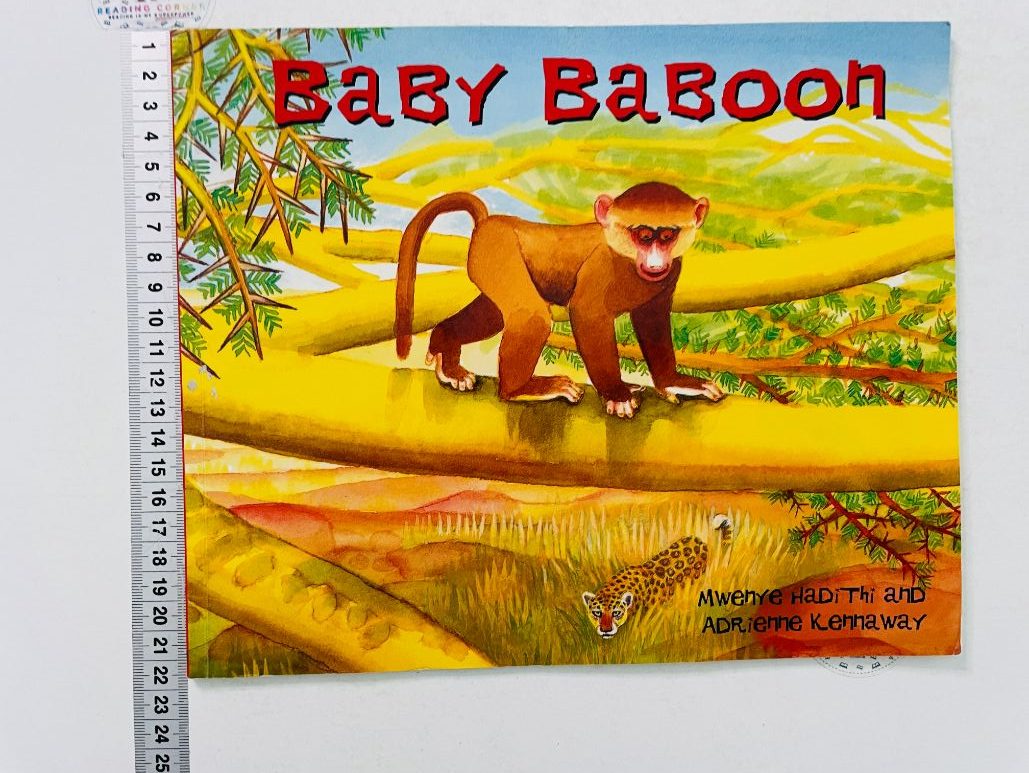 Baby baboon