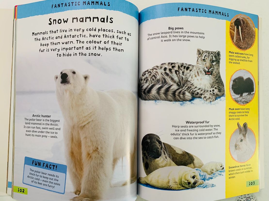 Junior Encyclopedia - imagine 3