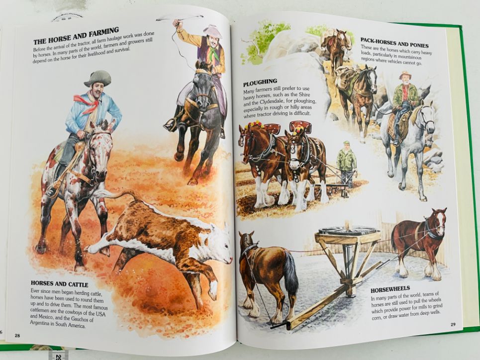 Know the World of Horses and Ponies - imagine 2