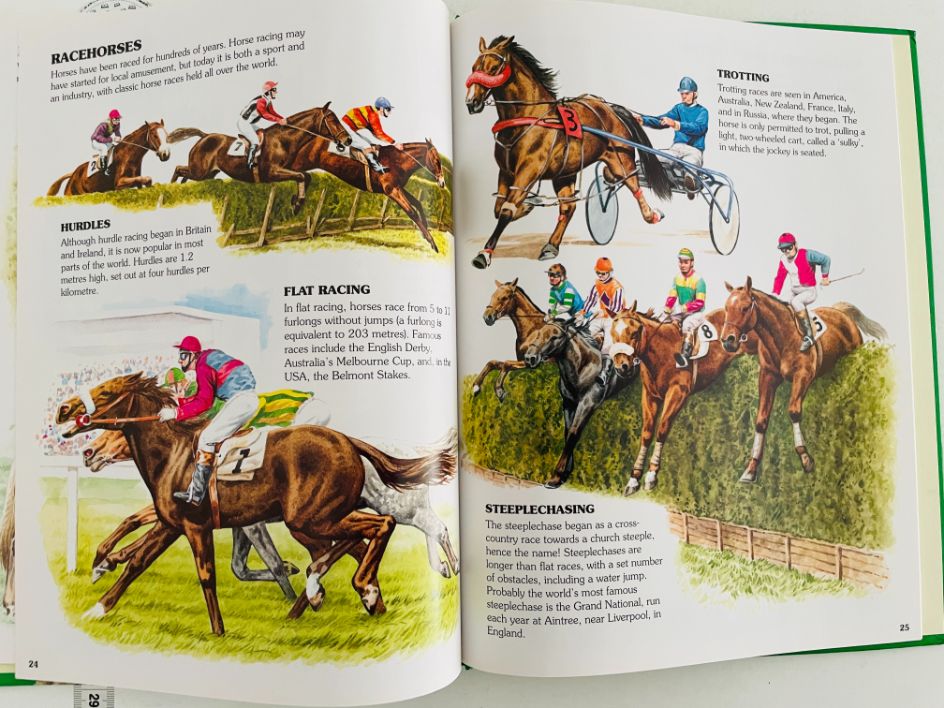 Know the World of Horses and Ponies - imagine 3