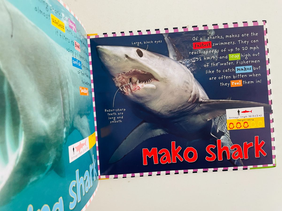 Sharks and other dangers of the Deep - imagine 2
