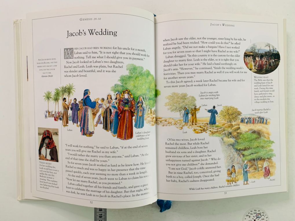 The Children's Illustrated Bible - imagine 2