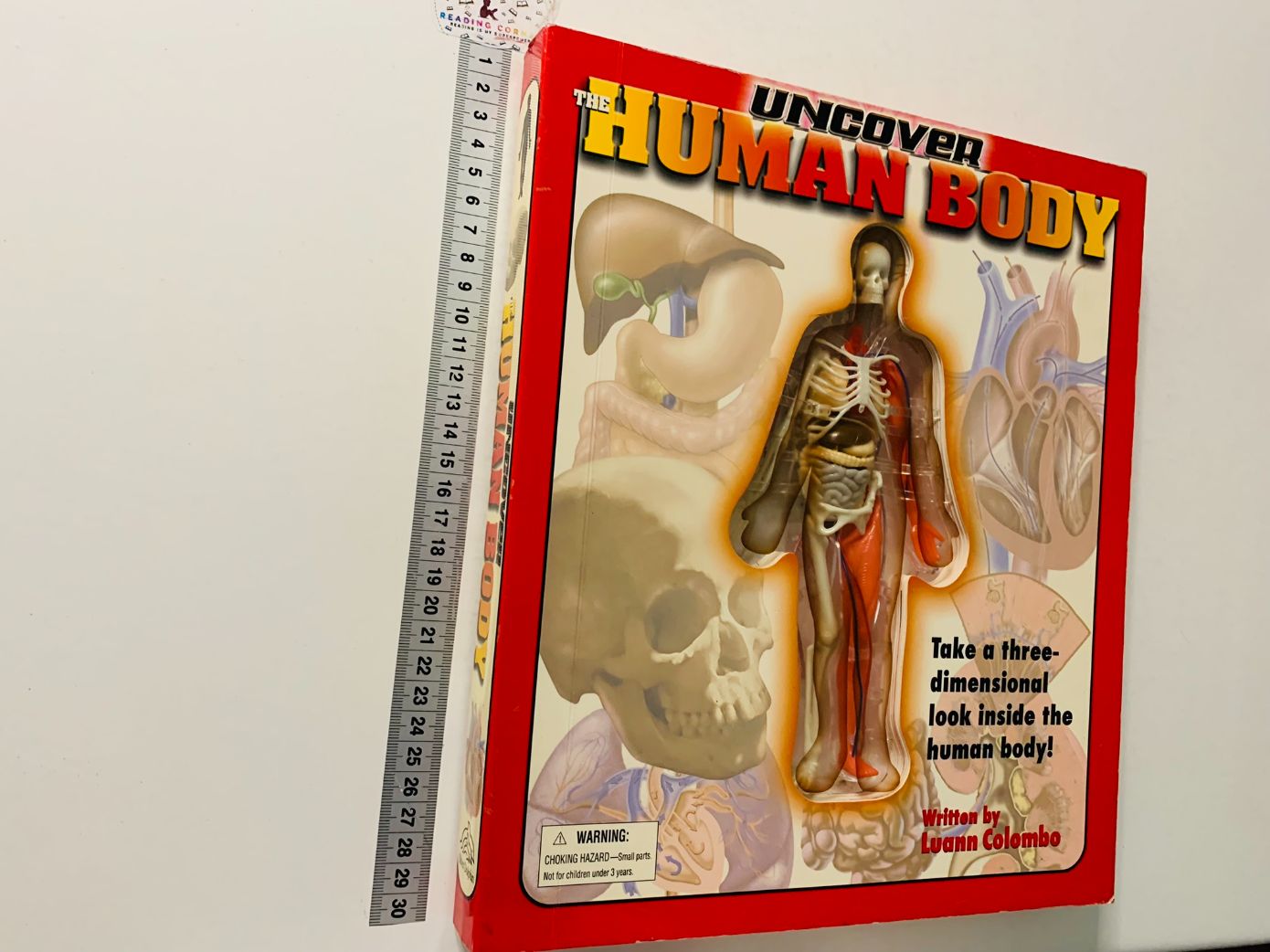 Uncover The Human Body