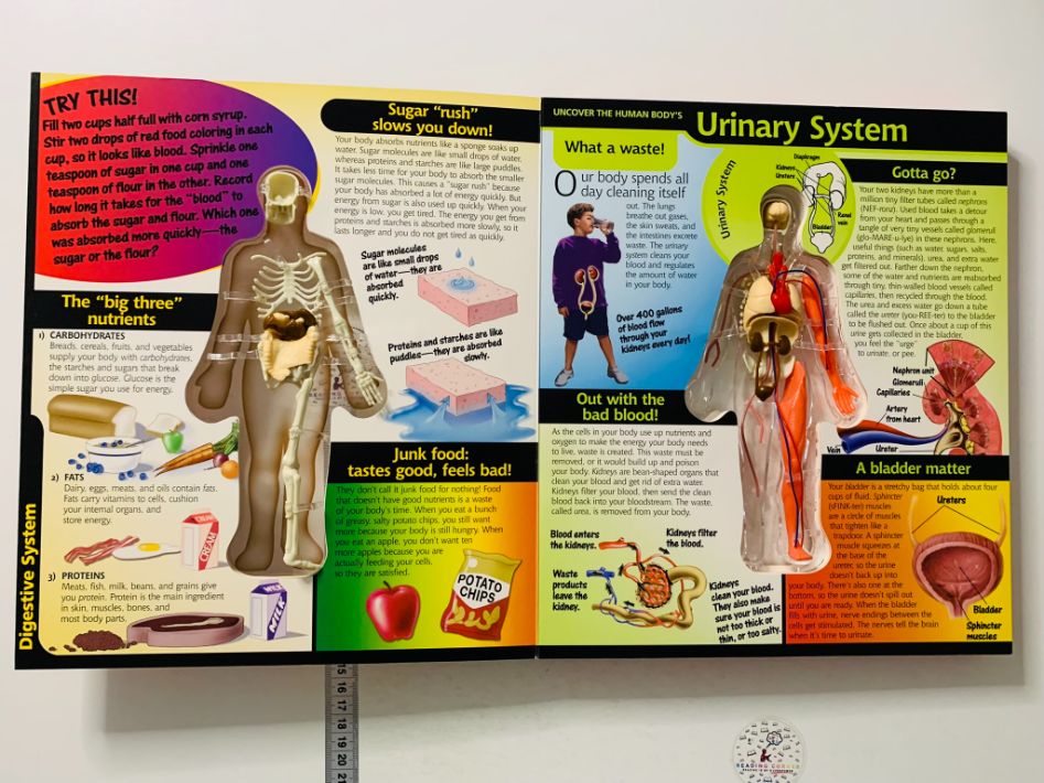 Uncover The Human Body - imagine 2