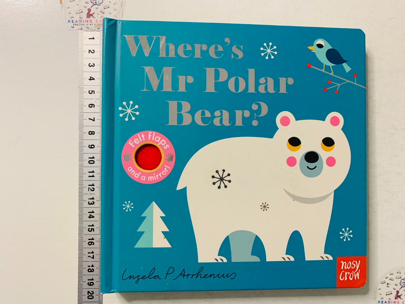 Where's Mr Polar Bear?