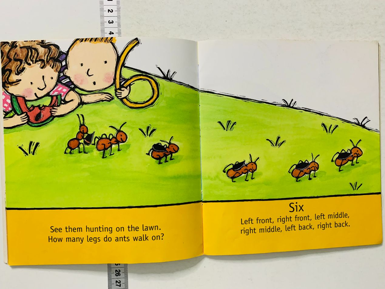 Maths Together How Many? • ReadingCorner.ro