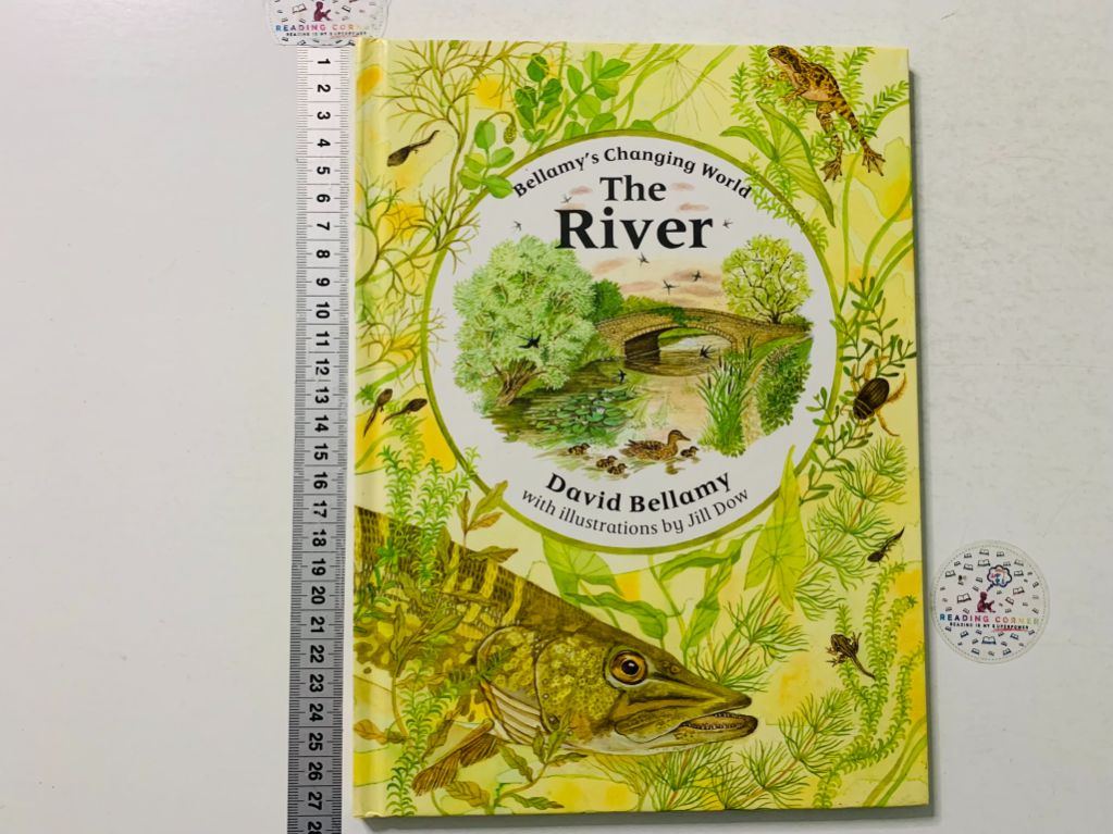 The River • ReadingCorner.ro