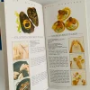The book of Hors D'oeuvres