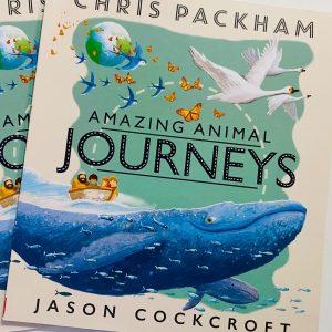 Amazing Animal - Journeys