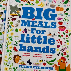 Big Meals for little hands